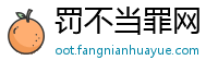 罚不当罪网